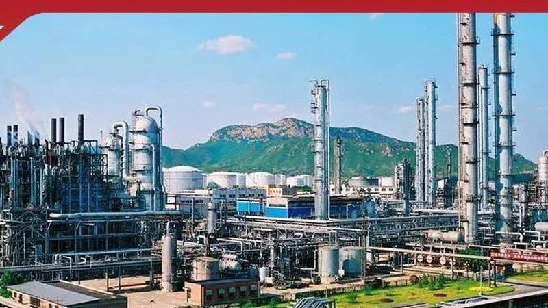 有机化工原料进出口：上海公司的机遇与挑战**