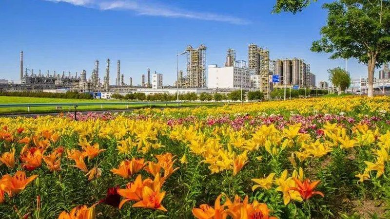 塑料助剂光稳定剂：揭秘其批发市场的关键要素**
